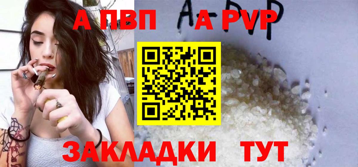 Альфа ПВП СК Ленинск-Кузнецкий