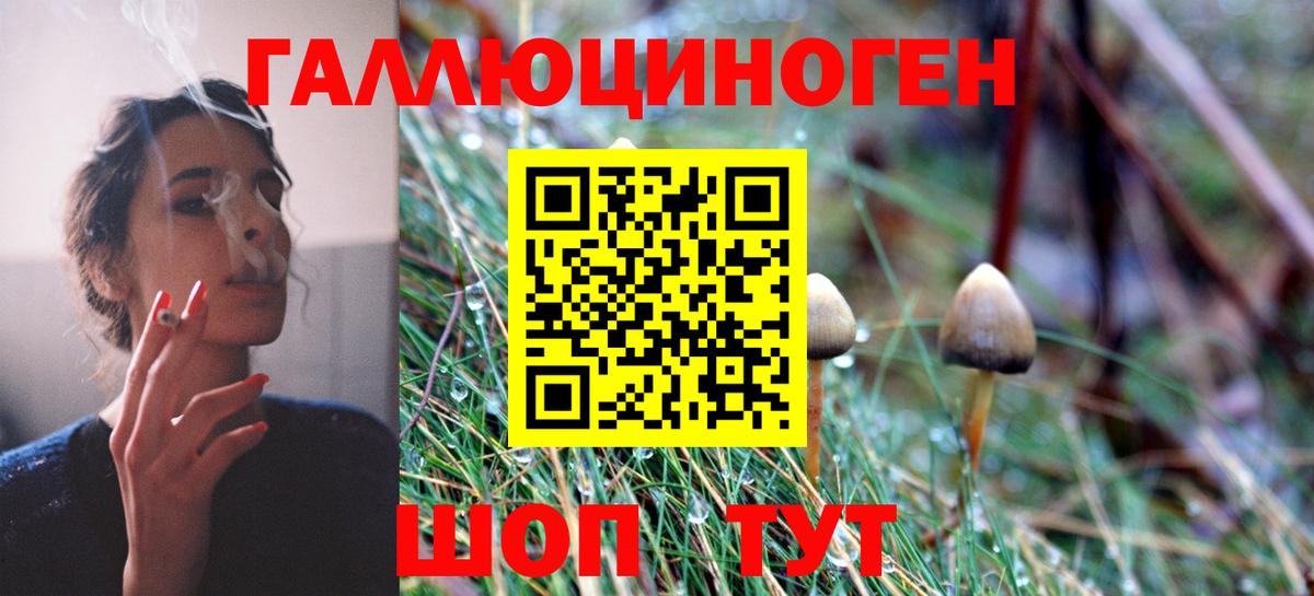 Галлюциногенные грибы ЛСД  Галлюциногенные грибы прущие грибы  Вход с VPN  Ленинск-Кузнецкий 
