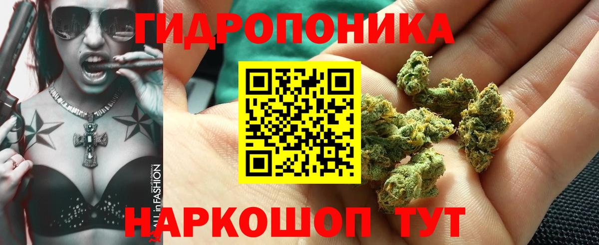 Каннабис AK-47 Ленинск-Кузнецкий
